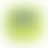 Lime Green - Custom T-Shirt Today