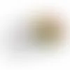 Small Top View Tin-Jelly Belly® - Custom T-Shirt Today