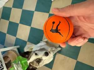 CustomT-ShirtToday.Com