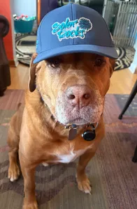 CustomT-ShirtToday.Com - Full Color TPU