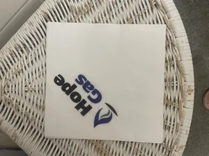 CustomT-ShirtToday.Com - Custom Paper Luncheon Napkins