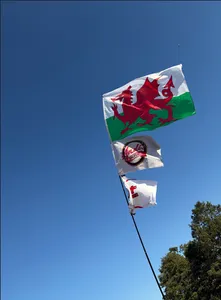 CustomT-ShirtToday.Com - Rectangle Flag