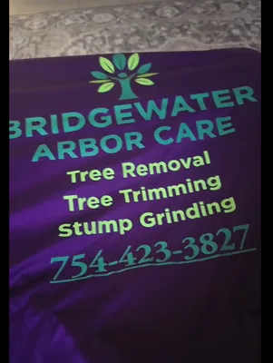 The shirt on the counter straight out of the box