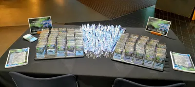 Full Color Sublimation Lanyards - Designing for Dementia Conference