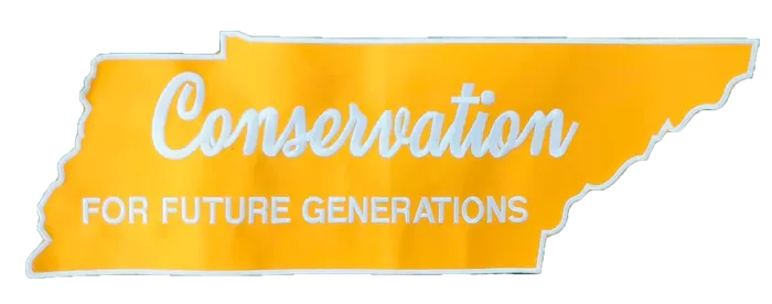 CustomT-ShirtToday.Com