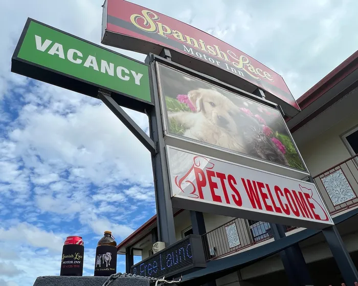 CustomT-ShirtToday.Com - Full Color Collapsible