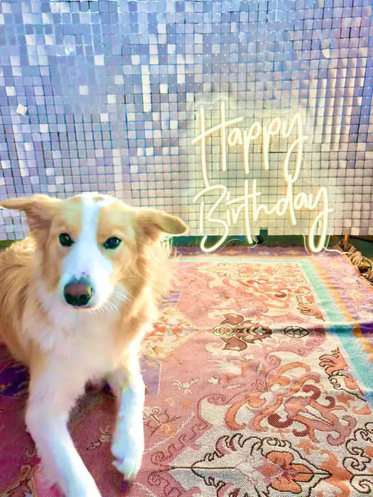 CustomT-ShirtToday.Com - Custom Neon Sign