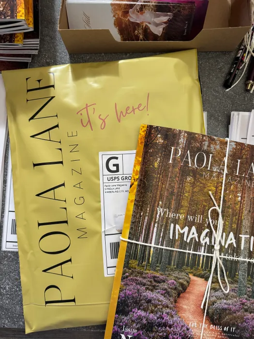 CustomT-ShirtToday.Com - Custom Poly Mailer