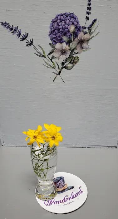 CustomT-ShirtToday.Com - Pulpboard Coasters