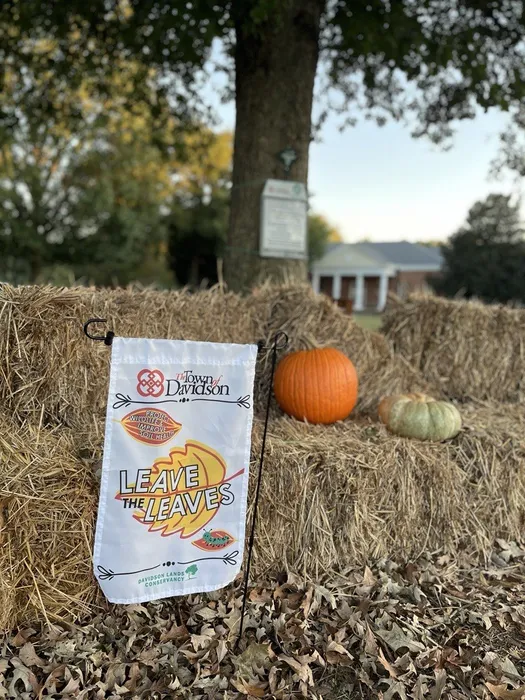 CustomT-ShirtToday.Com - Garden Flag