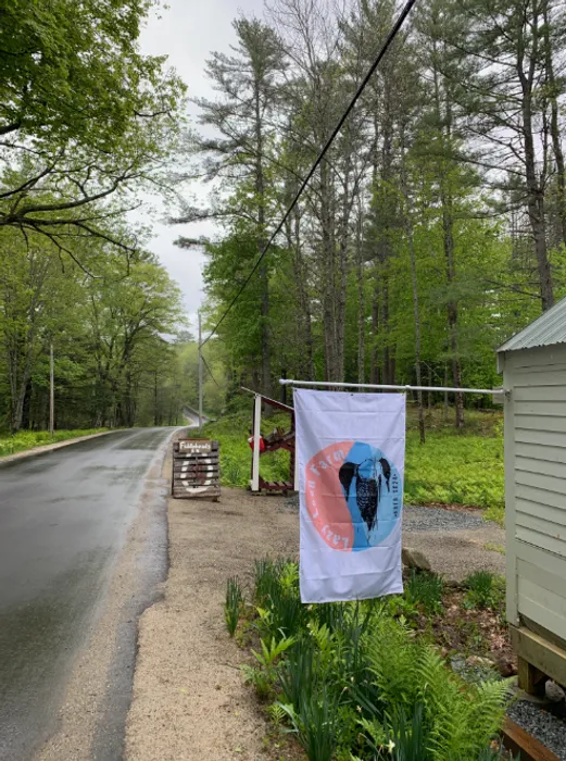 CustomT-ShirtToday.Com - Rectangle Flag