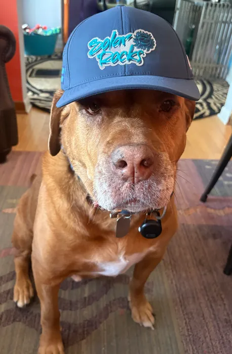 CustomT-ShirtToday.Com - Full Color TPU