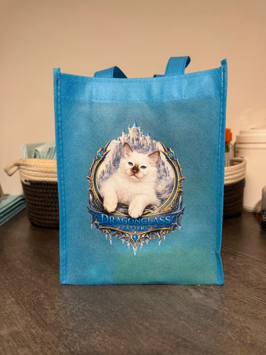 CustomT-ShirtToday.Com - Custom Small Gift Tote Bag
