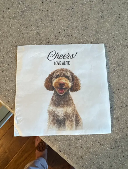 CustomT-ShirtToday.Com - Custom Paper Beverage Napkin