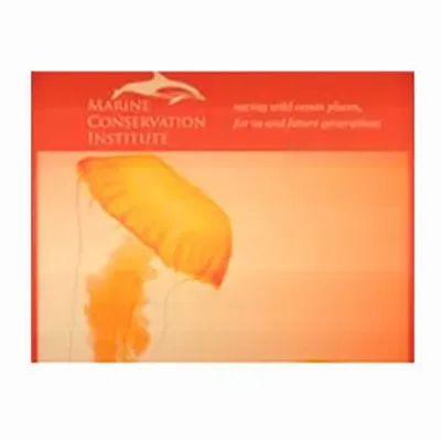 None None - Custom T-Shirt Today