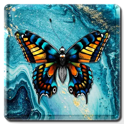 Square - Custom T-Shirt Today