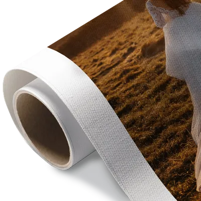 Rolled Canvas Rolled Canvas - Custom T-Shirt Today