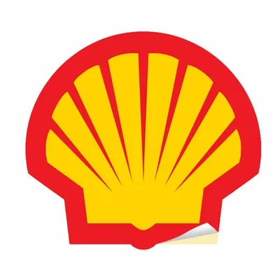 Die Cut - Custom T-Shirt Today