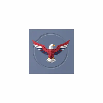 5 in x 5 in - Custom T-Shirt Today