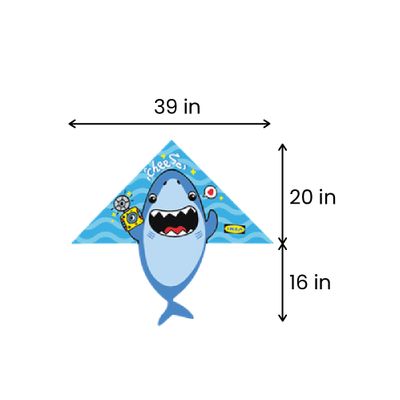 20in L x 39in W (16in Tail Length)