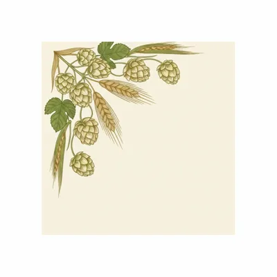 Standard - Custom T-Shirt Today