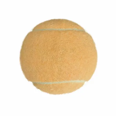 Rice Orange - Custom T-Shirt Today