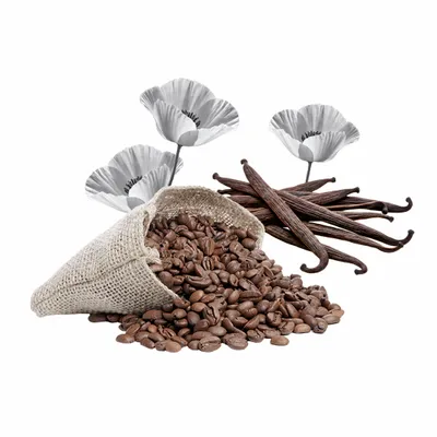 Black Opium - Custom T-Shirt Today