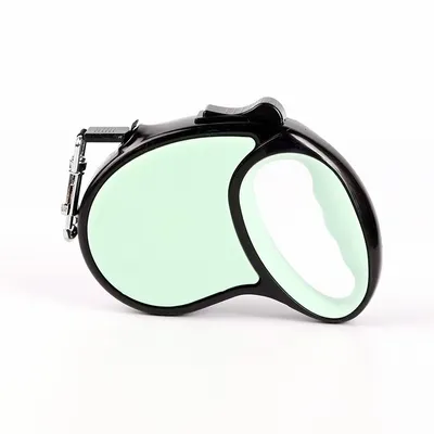 Mint Green - Custom T-Shirt Today