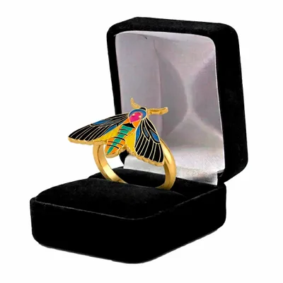 Black Velvet Box - Custom T-Shirt Today