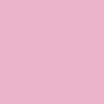 Light Pink - Custom T-Shirt Today
