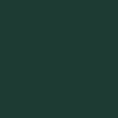 Dark Green - Custom T-Shirt Today