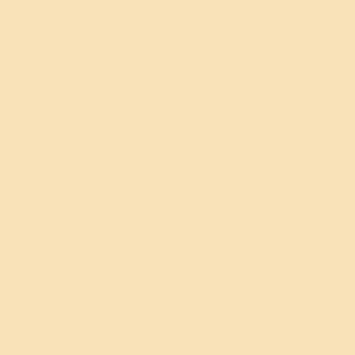 Beige - Custom T-Shirt Today