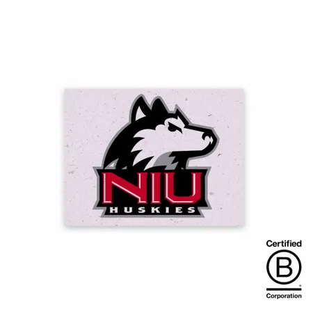 Seed Paper Panel Cards - Custom T-Shirt Today