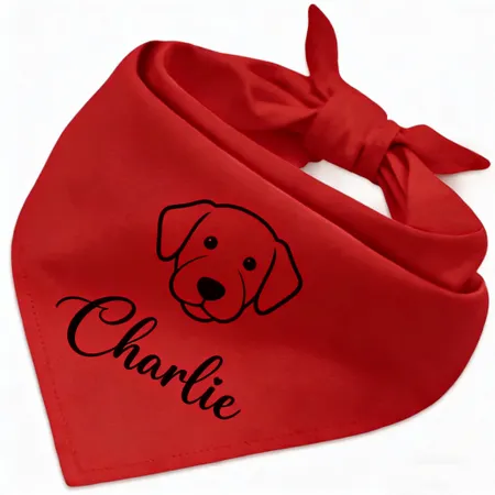 Cotton Bandanas - Custom T-Shirt Today