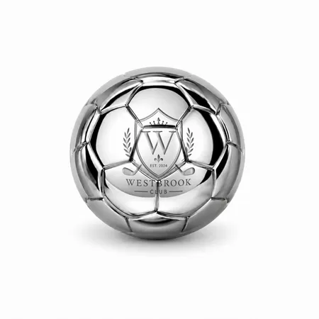 Soccer Ball Stainless Steel Ice Cubes - Custom T-Shirt Today