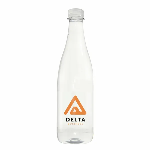 16.9 oz Champagne Style Water Bottle - Custom T-Shirt Today