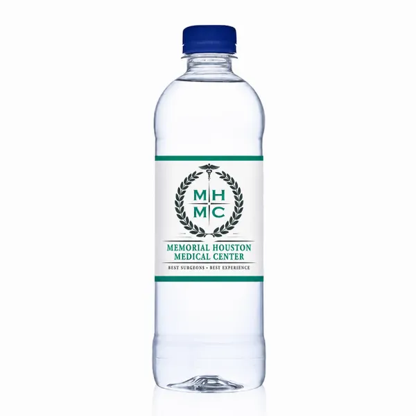 16.9 oz Bullet Bottles – Private Label Water - Custom T-Shirt Today