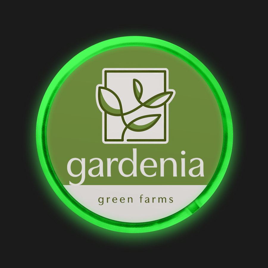 Light Button Pins - Custom T-Shirt Today