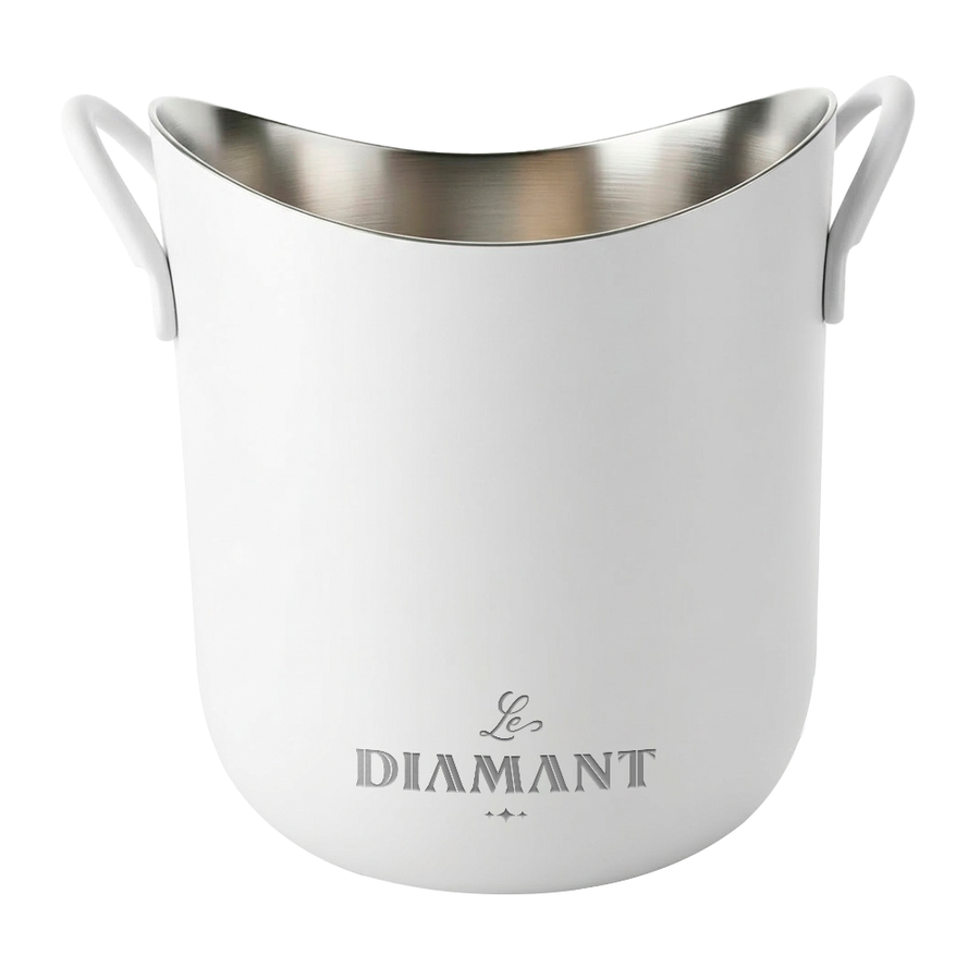 Stainless Steel Party Buckets - Custom T-Shirt Today