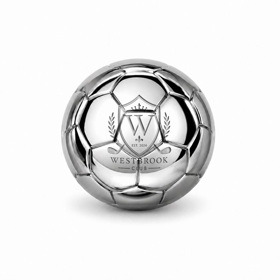 Soccer Ball Stainless Steel Ice Cubes - Custom T-Shirt Today