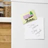 Fridge Magnets