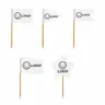 Toothpick Flags